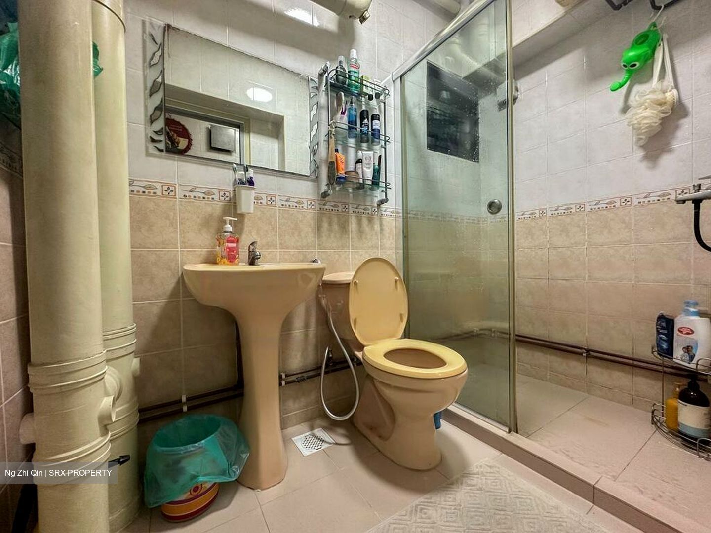 Blk 299C Compassvale Green (Sengkang), HDB Executive #458737631